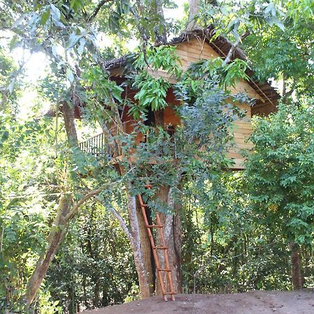 Tree House-Midigama Vila Weligama Exterior foto