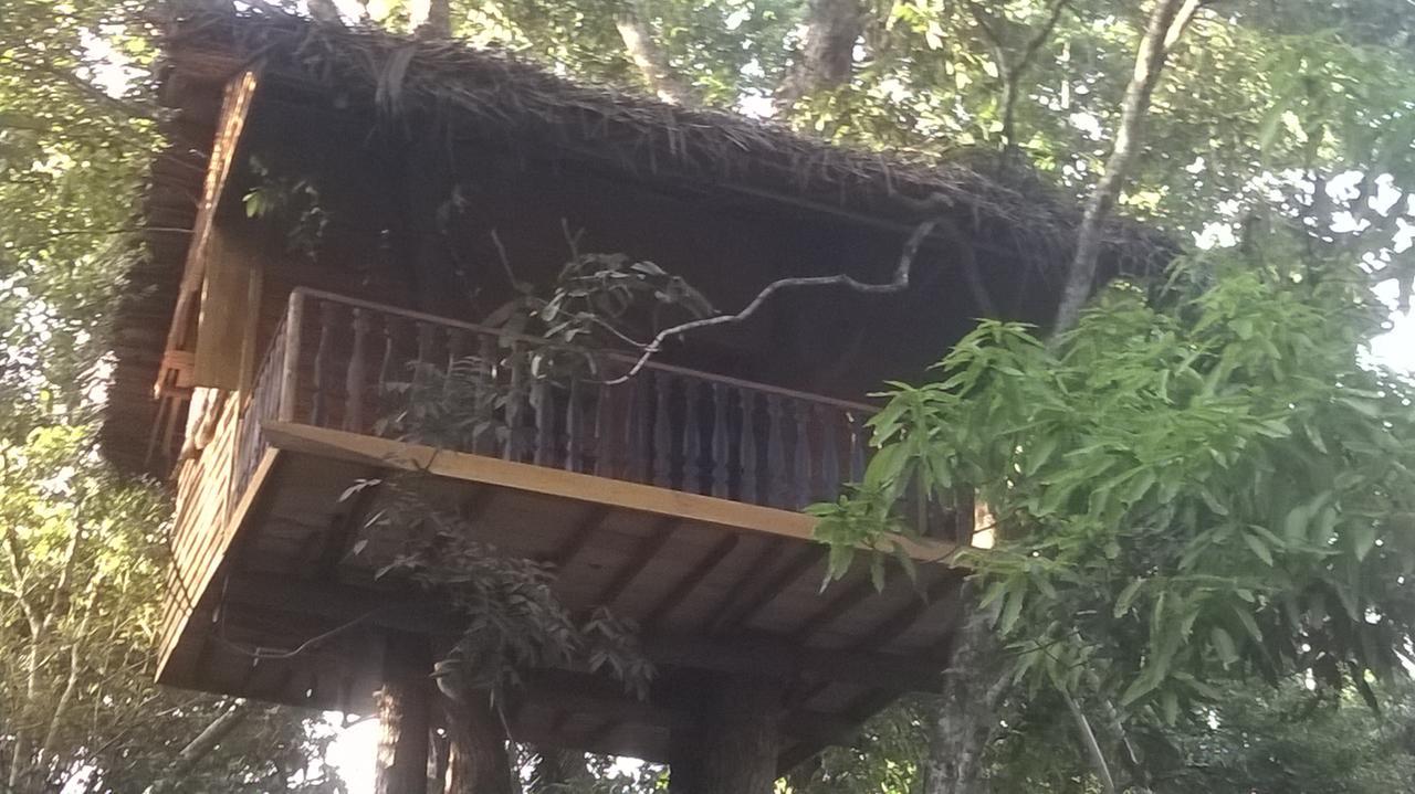 Tree House-Midigama Vila Weligama Exterior foto