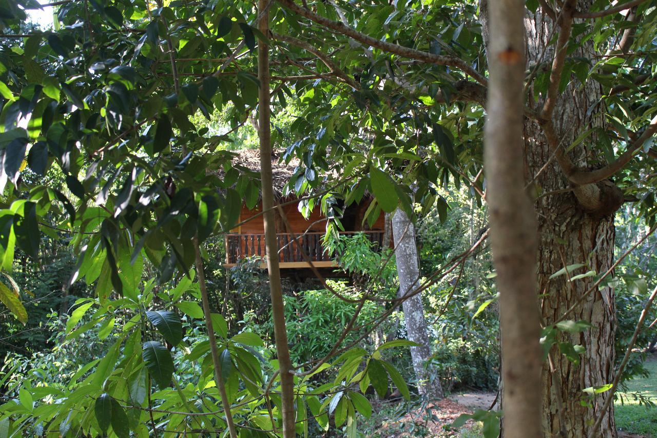 Tree House-Midigama Vila Weligama Exterior foto