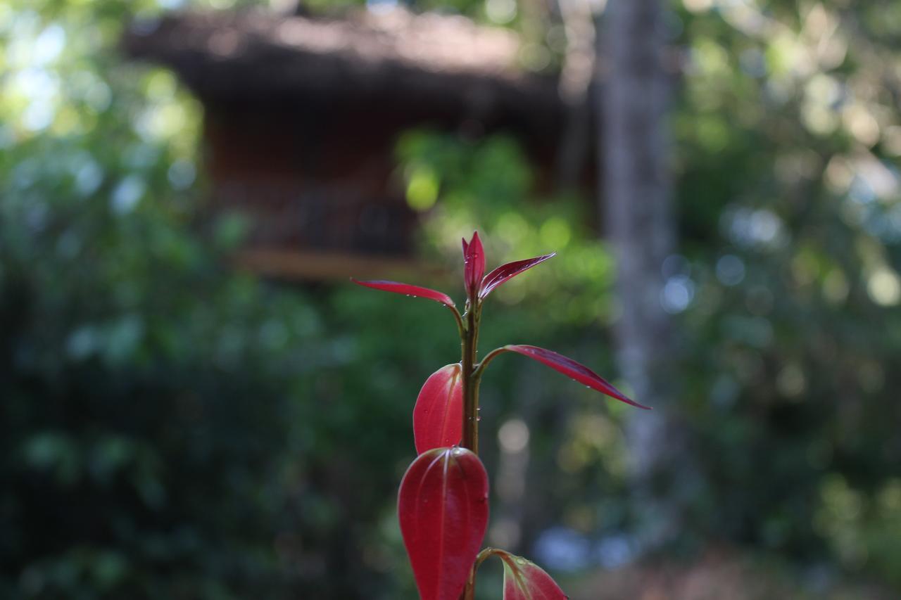 Tree House-Midigama Vila Weligama Exterior foto