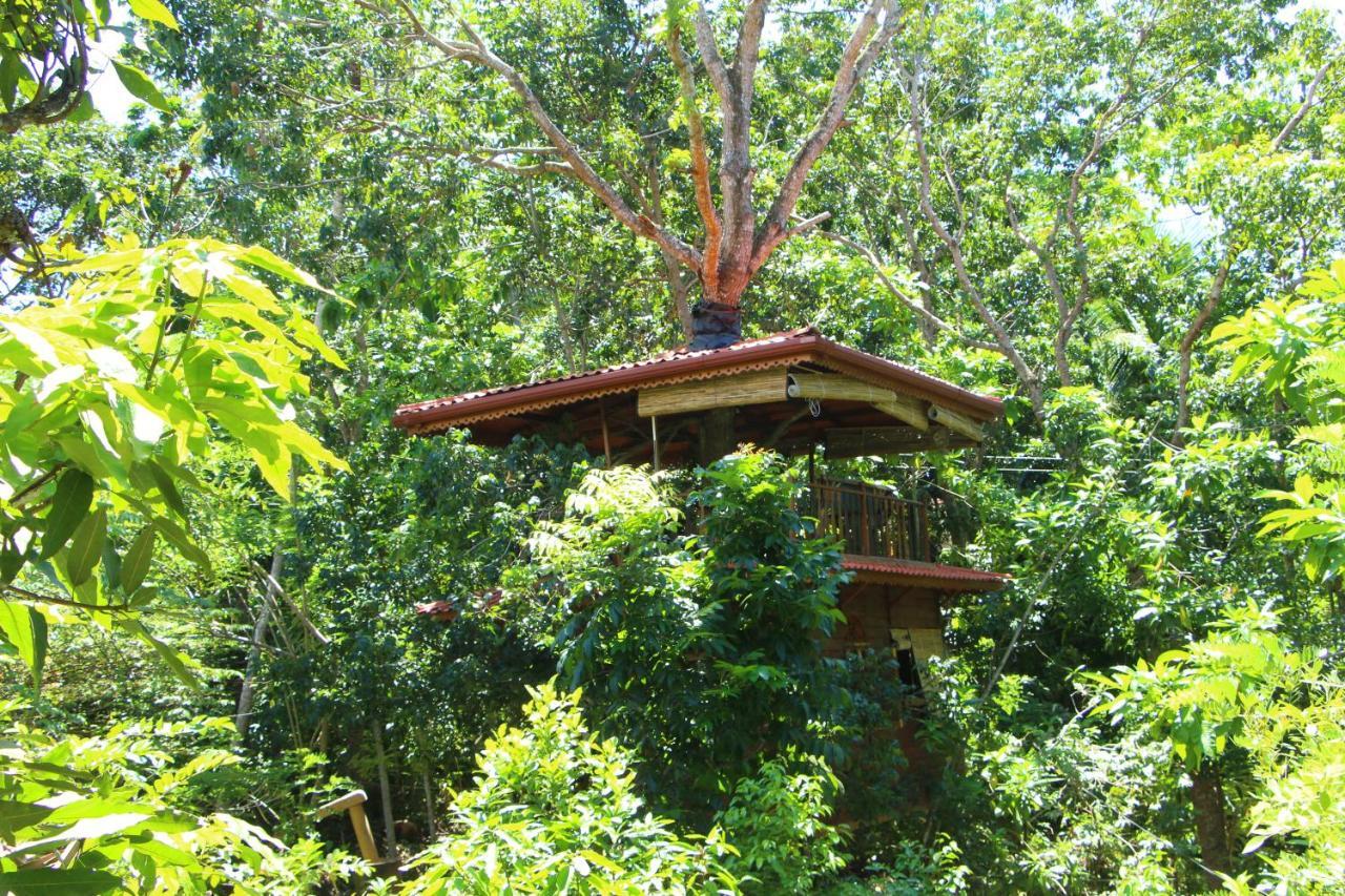 Tree House-Midigama Vila Weligama Exterior foto