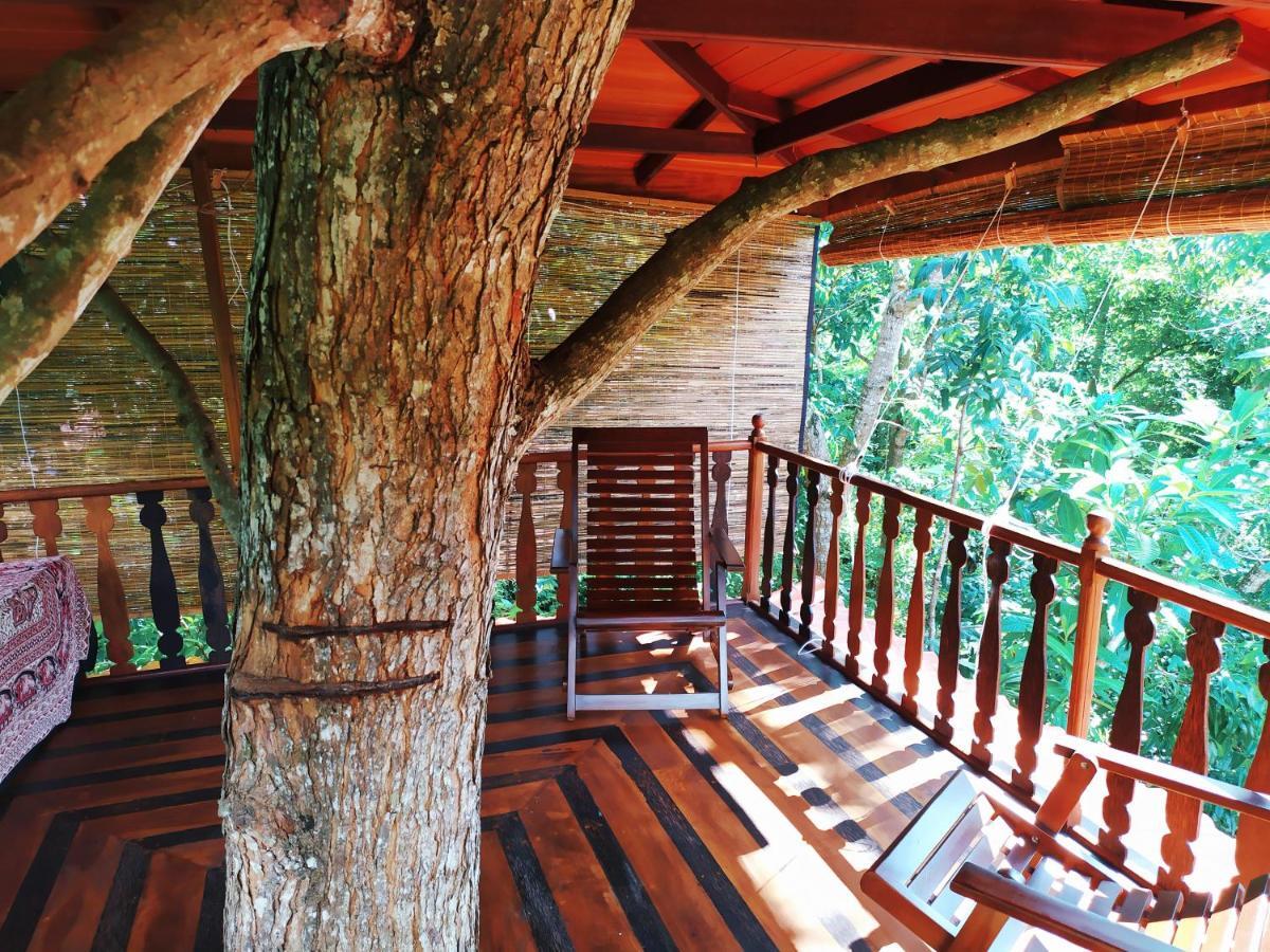 Tree House-Midigama Vila Weligama Exterior foto