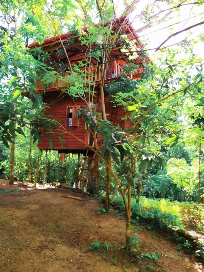 Tree House-Midigama Vila Weligama Exterior foto