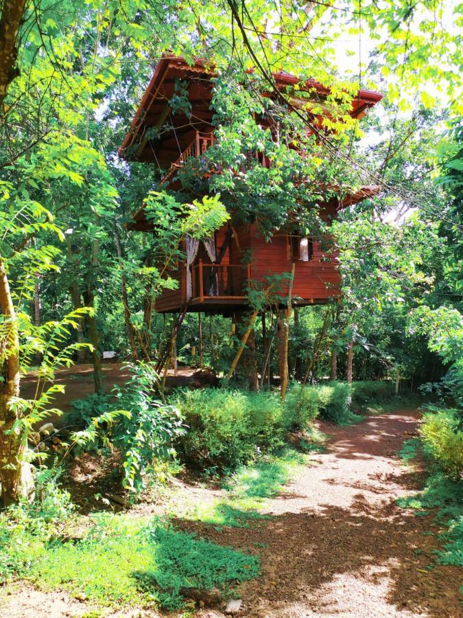 Tree House-Midigama Vila Weligama Exterior foto