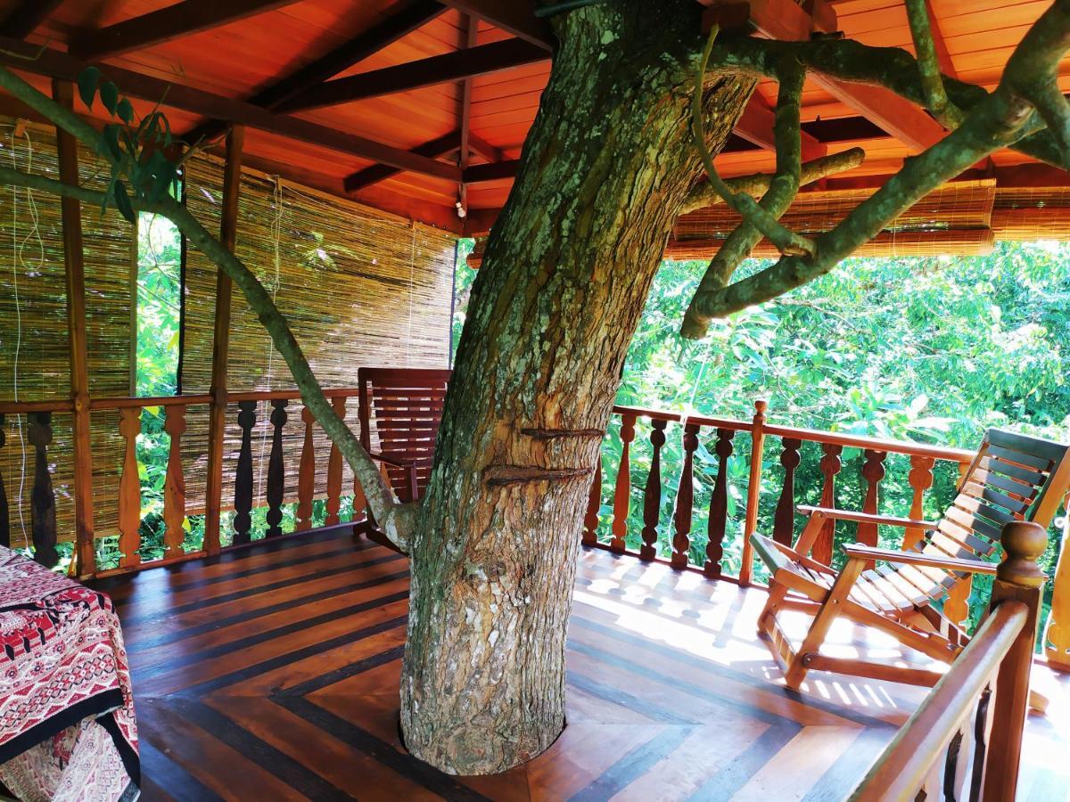 Tree House-Midigama Vila Weligama Exterior foto